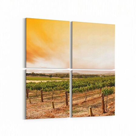 Olla 13811K4 Doğa / Manzara Görseli Kare 4'lü Kanvas Tablo (Ölçü: 145X145)