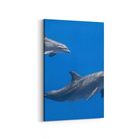 Olla 12951D Deniz / Okyanus Görseli Dikey Kanvas Tablo (Ölçü: 100X150)