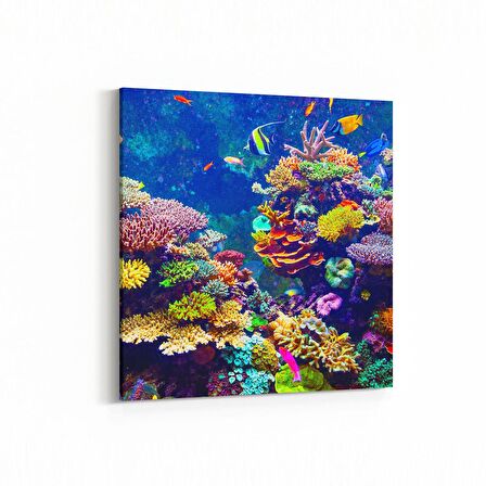 Olla 12121K Akvaryum / Balık Görseli Kare Kanvas Tablo (Ölçü: 25X25)