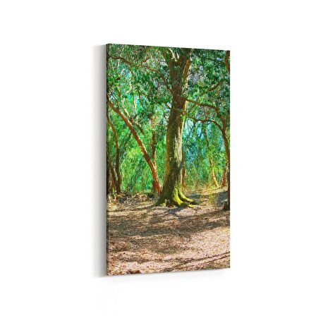 Olla 13679DD Doğa / Manzara Görseli Dikey Dar Kanvas Tablo (Ölçü: 40X80)