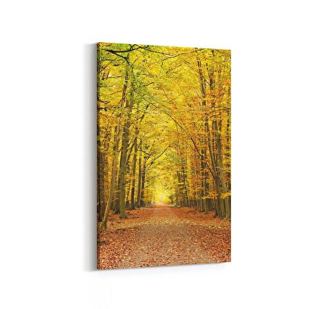 Olla 14251D Doğa / Manzara Görseli Dikey Kanvas Tablo (Ölçü: 100X150)