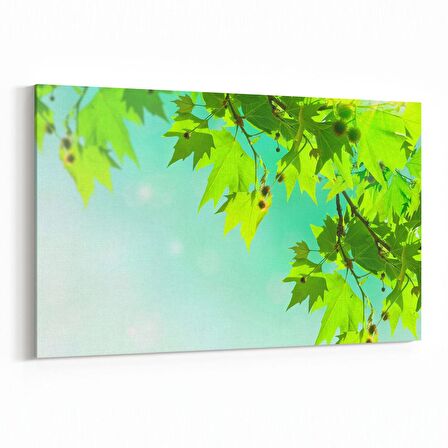 Olla 11044Y Ağaç Görseli Yatay Kanvas Tablo (Ölçü: 45X30)