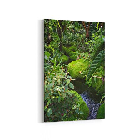 Olla 13216D Doğa / Manzara Görseli Dikey Kanvas Tablo (Ölçü: 60X90)