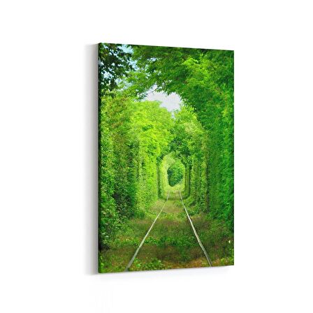 Olla 13454D Doğa / Manzara Görseli Dikey Kanvas Tablo (Ölçü: 20X30)