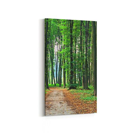 Olla 13870DD Doğa / Manzara Görseli Dikey Dar Kanvas Tablo (Ölçü: 30X60)