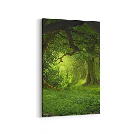 Olla 14120D Doğa / Manzara Görseli Dikey Kanvas Tablo (Ölçü: 60X90)