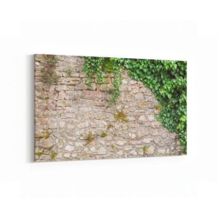 Olla 17425Y Taş / Tuğla Görseli Yatay Kanvas Tablo (Ölçü: 90X60)