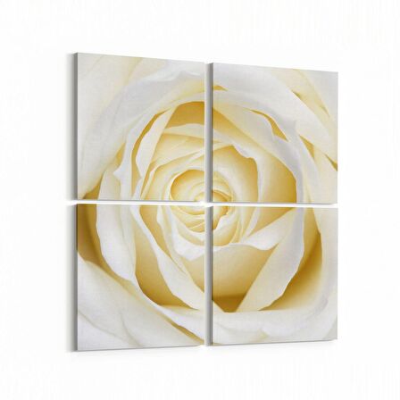 Olla 11638K4 Çiçek Görseli Kare 4'lü Kanvas Tablo (Ölçü: 145X145)