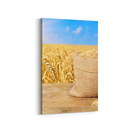 Olla 15235D Gıda Görseli Dikey Kanvas Tablo (Ölçü: 20X30)