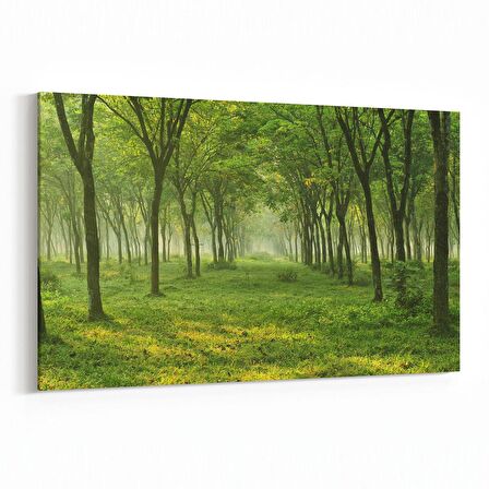 Olla 13535Y Doğa / Manzara Görseli Yatay Kanvas Tablo (Ölçü: 90X60)