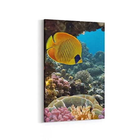 Olla 12117D Akvaryum / Balık Görseli Dikey Kanvas Tablo (Ölçü: 60X90)