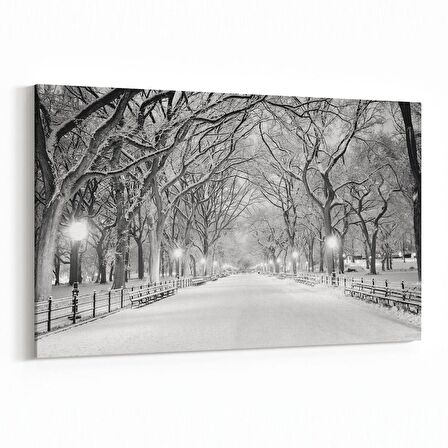 Olla 13780Y Doğa / Manzara Görseli Yatay Kanvas Tablo (Ölçü: 120X80)