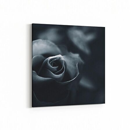 Olla 11577K Çiçek Görseli Kare Kanvas Tablo (Ölçü: 25X25)