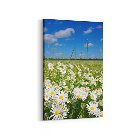 Olla 13739D Doğa / Manzara Görseli Dikey Kanvas Tablo (Ölçü: 60X90)