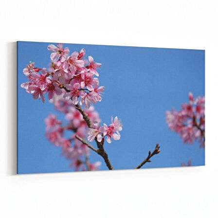 Olla 10817Y Ağaç Görseli Yatay Kanvas Tablo (Ölçü: 45X30)