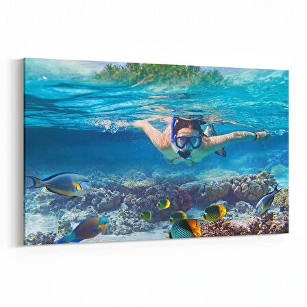 Olla 12076Y Akvaryum / Balık Görseli Yatay Kanvas Tablo (Ölçü: 30X20)