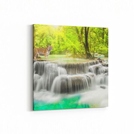 Olla 13393K Doğa / Manzara Görseli Kare Kanvas Tablo (Ölçü: 30X30)