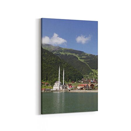 Olla 18959D Yapı Görseli Dikey Kanvas Tablo (Ölçü: 20X30)