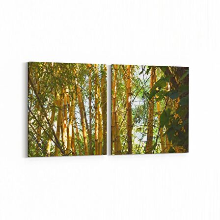 Olla 13247K2Y Doğa / Manzara Görseli Kare 2'li Yatay Kanvas Tablo (Ölçü: 145X70)