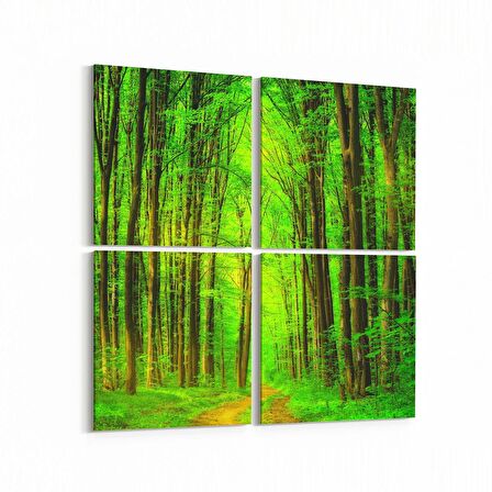 Olla 14469K4 Doğa / Manzara Görseli Kare 4'lü Kanvas Tablo (Ölçü: 145X145)