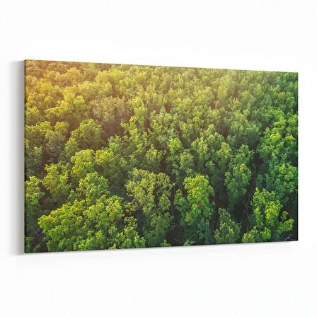 Olla 13244Y Doğa / Manzara Görseli Yatay Kanvas Tablo (Ölçü: 150X100)
