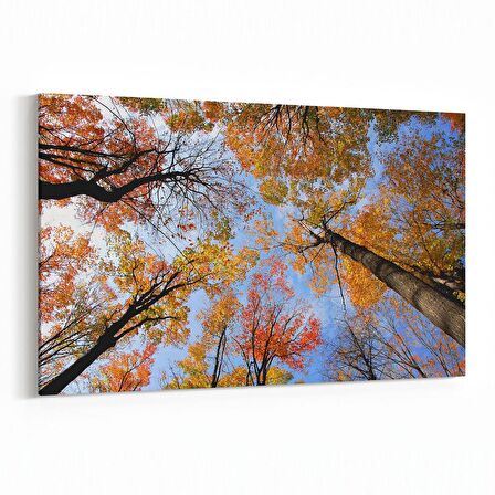 Olla 10692Y Ağaç Görseli Yatay Kanvas Tablo (Ölçü: 120X80)