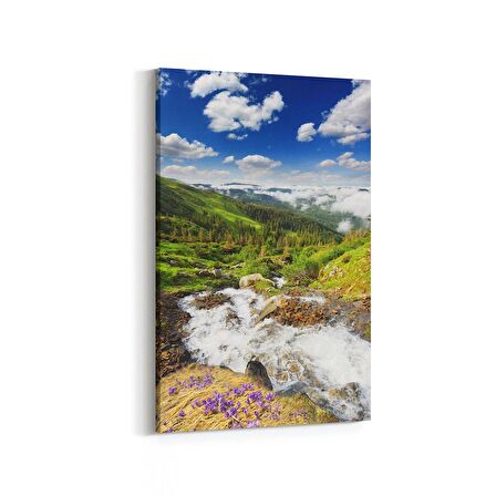 Olla 14614D Doğa / Manzara Görseli Dikey Kanvas Tablo (Ölçü: 100X150)