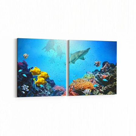 Olla 12089K2Y Akvaryum / Balık Görseli Kare 2'li Yatay Kanvas Tablo (Ölçü: 85X40)