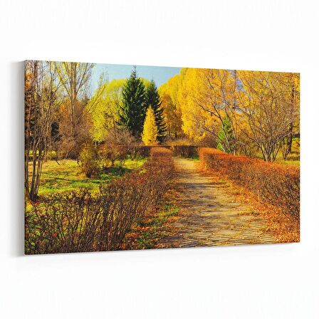 Olla 13235Y Doğa / Manzara Görseli Yatay Kanvas Tablo (Ölçü: 45X30)