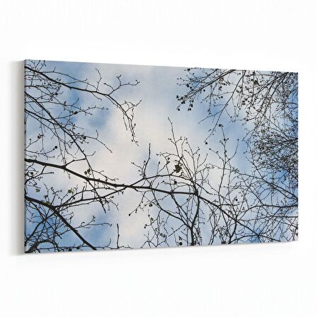 Olla 10927Y Ağaç Görseli Yatay Kanvas Tablo (Ölçü: 90X60)