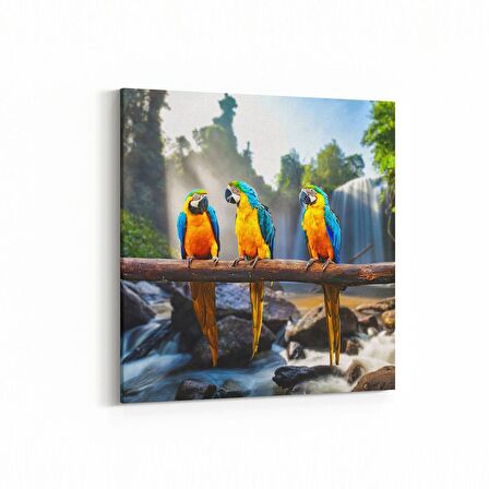 Olla 12560K Hayvanlar Alemi Görseli Kare Kanvas Tablo (Ölçü: 25X25)