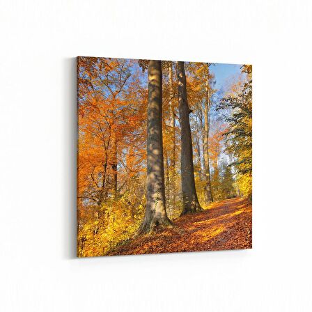 Olla 13255K Doğa / Manzara Görseli Kare Kanvas Tablo (Ölçü: 30X30)
