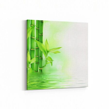 Olla 17080K Spa / Masaj Görseli Kare Kanvas Tablo (Ölçü: 25X25)