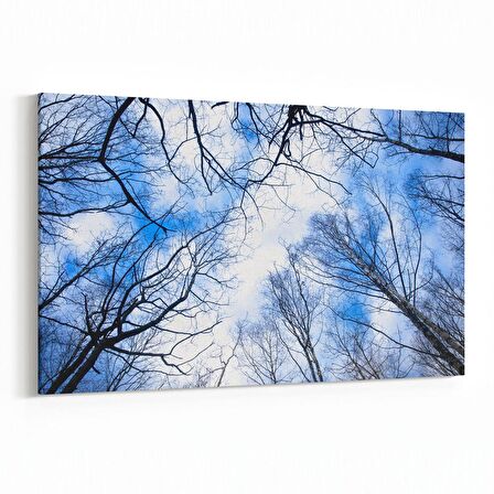 Olla 10827Y Ağaç Görseli Yatay Kanvas Tablo (Ölçü: 45X30)