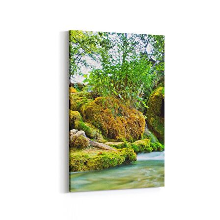 Olla 13377D Doğa / Manzara Görseli Dikey Kanvas Tablo (Ölçü: 60X90)