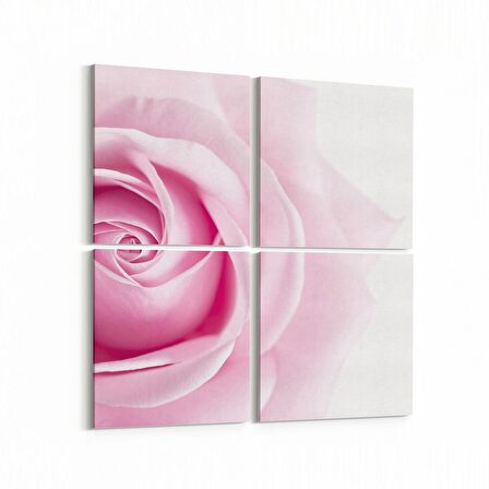 Olla 11572K4 Çiçek Görseli Kare 4'lü Kanvas Tablo (Ölçü: 105X105)