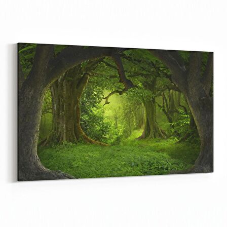 Olla 14120Y Doğa / Manzara Görseli Yatay Kanvas Tablo (Ölçü: 45X30)