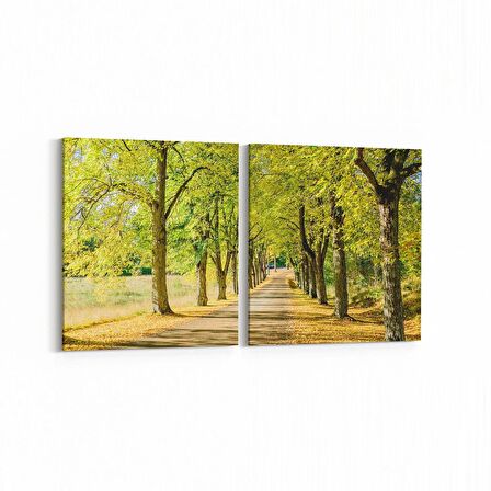 Olla 13285K2Y Doğa / Manzara Görseli Kare 2'li Yatay Kanvas Tablo (Ölçü: 105X50)