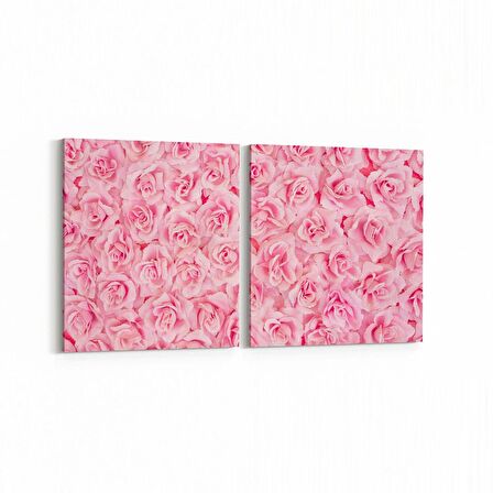 Olla 11628K2Y Çiçek Görseli Kare 2'li Yatay Kanvas Tablo (Ölçü: 65X30)