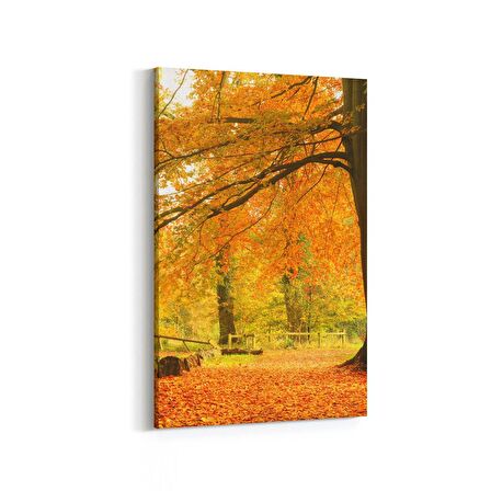 Olla 14331D Doğa / Manzara Görseli Dikey Kanvas Tablo (Ölçü: 60X90)