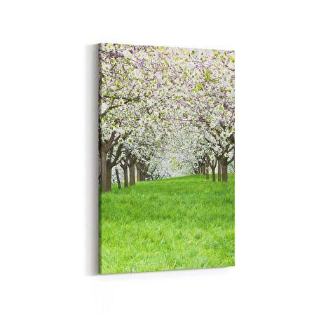 Olla 14628D Doğa / Manzara Görseli Dikey Kanvas Tablo (Ölçü: 60X90)