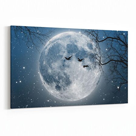 Olla 14716Y Gece Gökyüzü Görseli Yatay Kanvas Tablo (Ölçü: 90X60)