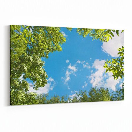 Olla 10528Y Ağaç Görseli Yatay Kanvas Tablo (Ölçü: 45X30)