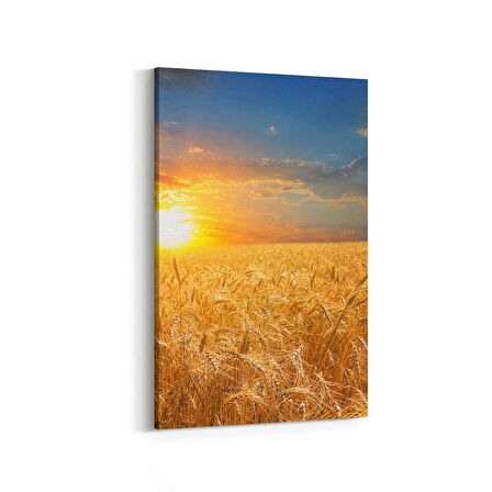Olla 15962D Günbatımı Görseli Dikey Kanvas Tablo (Ölçü: 20X30)