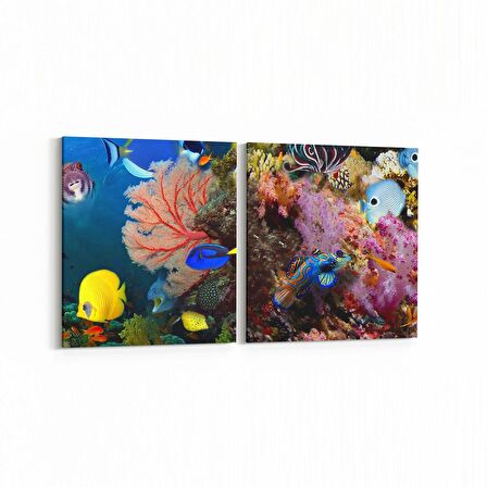 Olla 12109K2Y Akvaryum / Balık Görseli Kare 2'li Yatay Kanvas Tablo (Ölçü: 105X50)
