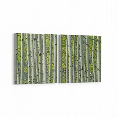 Olla 13468K2Y Doğa / Manzara Görseli Kare 2'li Yatay Kanvas Tablo (Ölçü: 125X60)