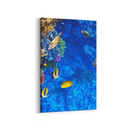 Olla 12096D Akvaryum / Balık Görseli Dikey Kanvas Tablo (Ölçü: 20X30)