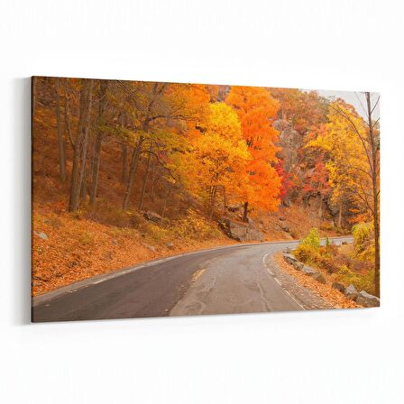 Olla 14555Y Doğa / Manzara Görseli Yatay Kanvas Tablo (Ölçü: 120X80)