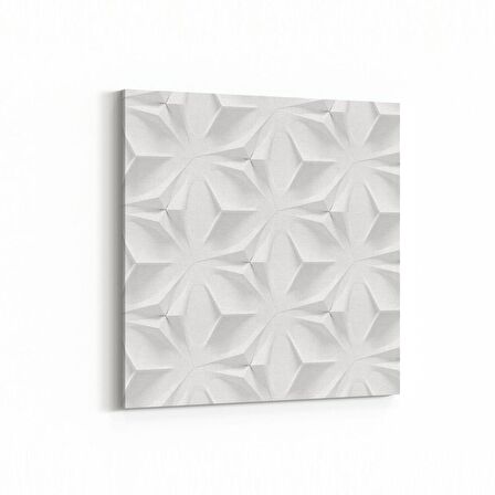 Olla 10459K Beyaz Kabartma Görseli Kare Kanvas Tablo (Ölçü: 25X25)