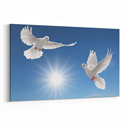 Olla 15845Y Gökyüzü Kuşlar Görseli Yatay Kanvas Tablo (Ölçü: 45X30)
